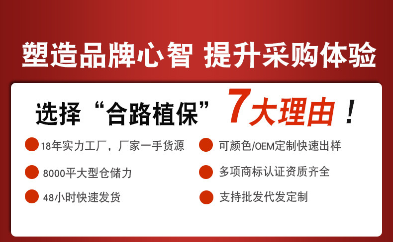 一键复制_20240108172257